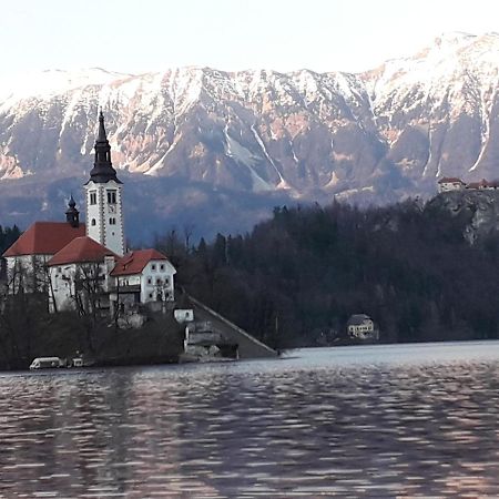 Alp Apartma Radovljica Buitenkant foto